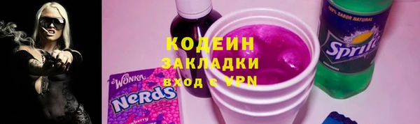 не бодяженный Заводоуковск
