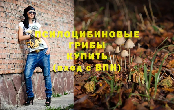МДМА Елизово