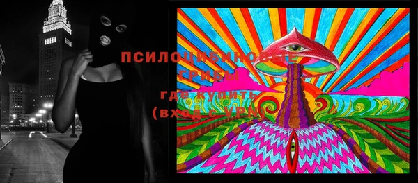 прущая мука Ельня